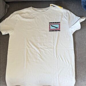 Boys light Grey Graphic T-Shirt